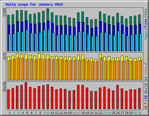 Daily usage for January 2010