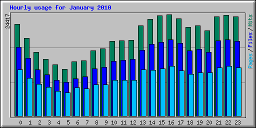 Hourly usage for January 2010