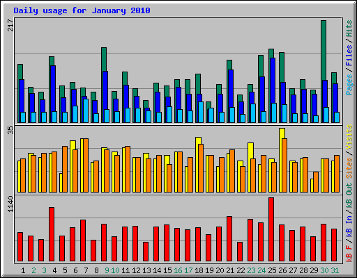 Daily usage for January 2010