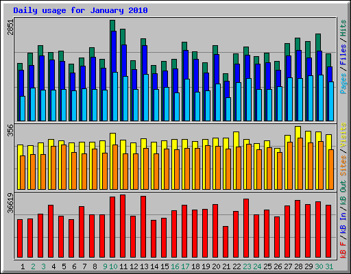 Daily usage for January 2010