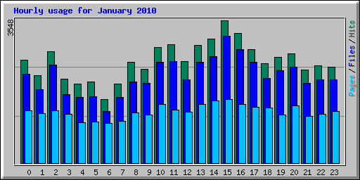 Hourly usage for January 2010