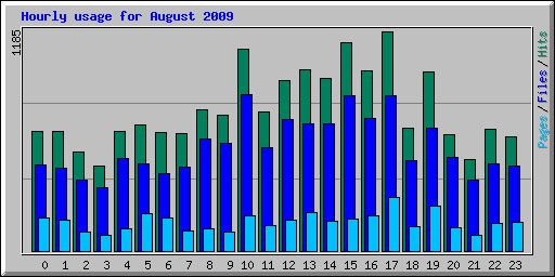 Hourly usage for August 2009